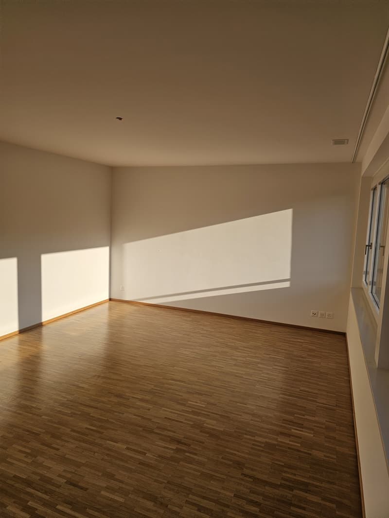 Bright Room in a Shared Flat with Forest Views (3)