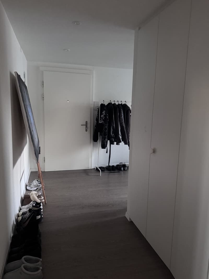 Nachmieter gesucht schöne 3.5-Zimmer-Wohnung mit sonnigem Balkon in Dottikon (4)