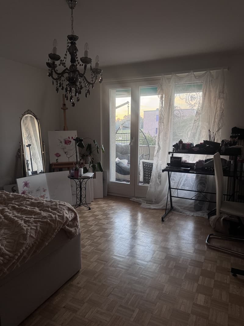 Nachmieter gesucht schöne 3.5-Zimmer-Wohnung mit sonnigem Balkon in Dottikon (1)