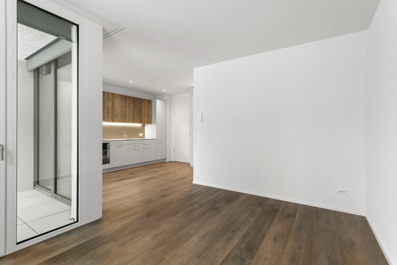 1.5 Zimmer Wohnung (1)