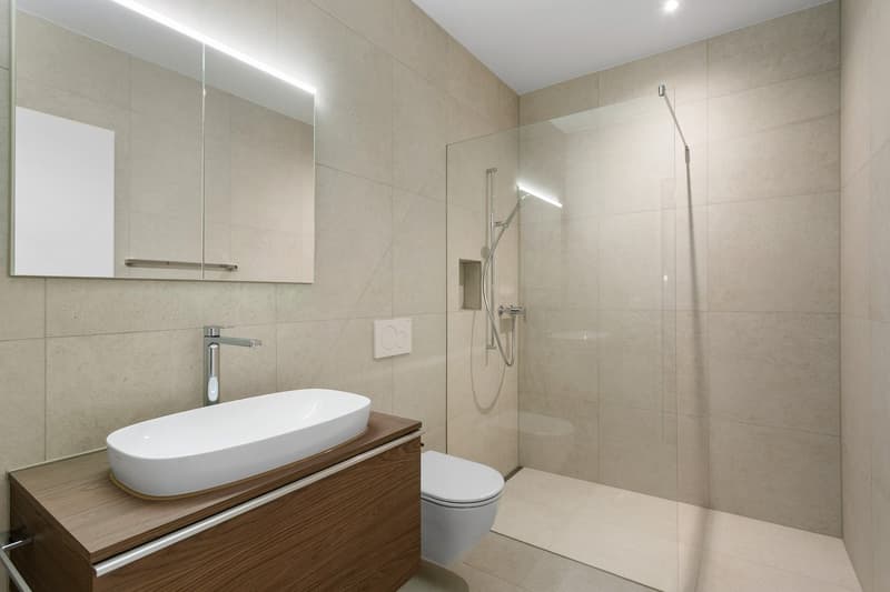 1.5 Zimmer Wohnung (3)
