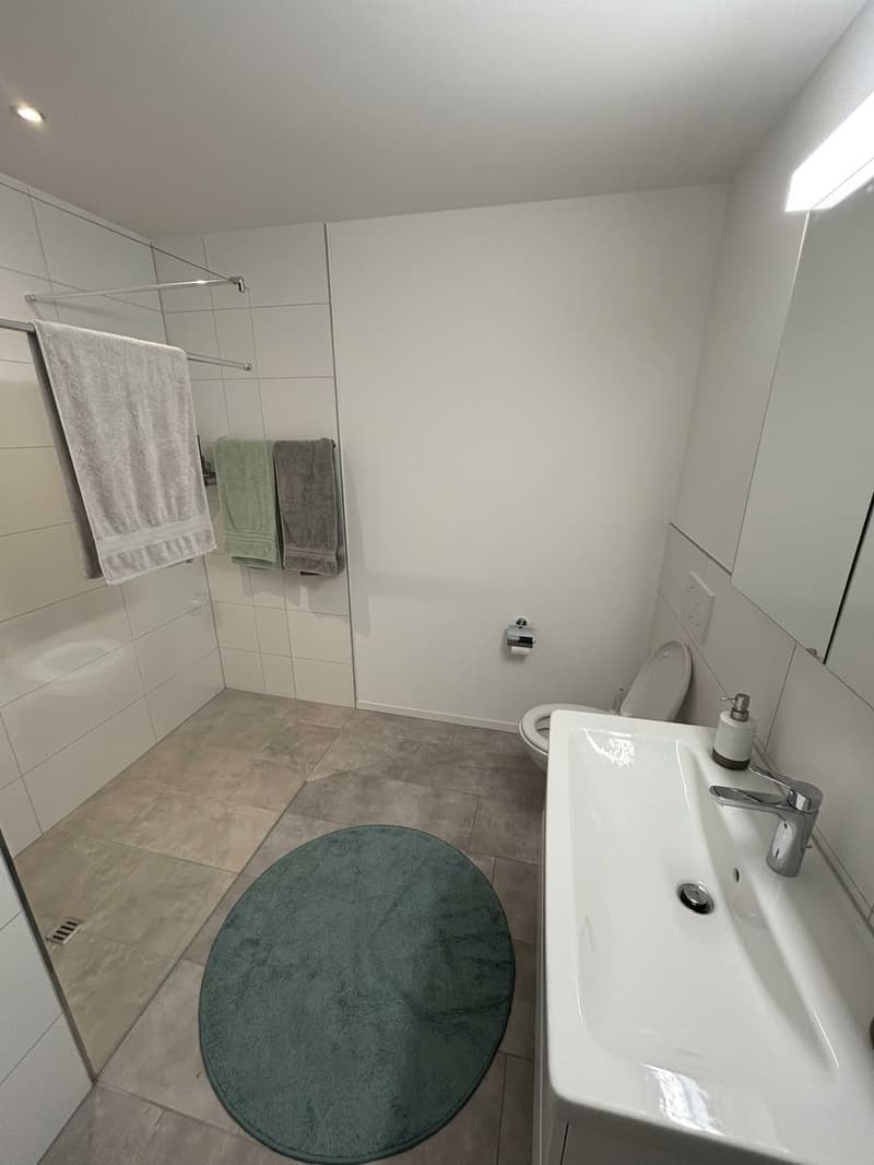 Stylische, moderne 2.5-Zimmer-Wohnung an guter Lage in Lenzburg (5)