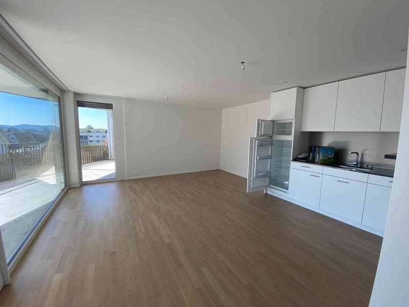 Stylische, moderne 2.5-Zimmer-Wohnung an guter Lage in Lenzburg (1)