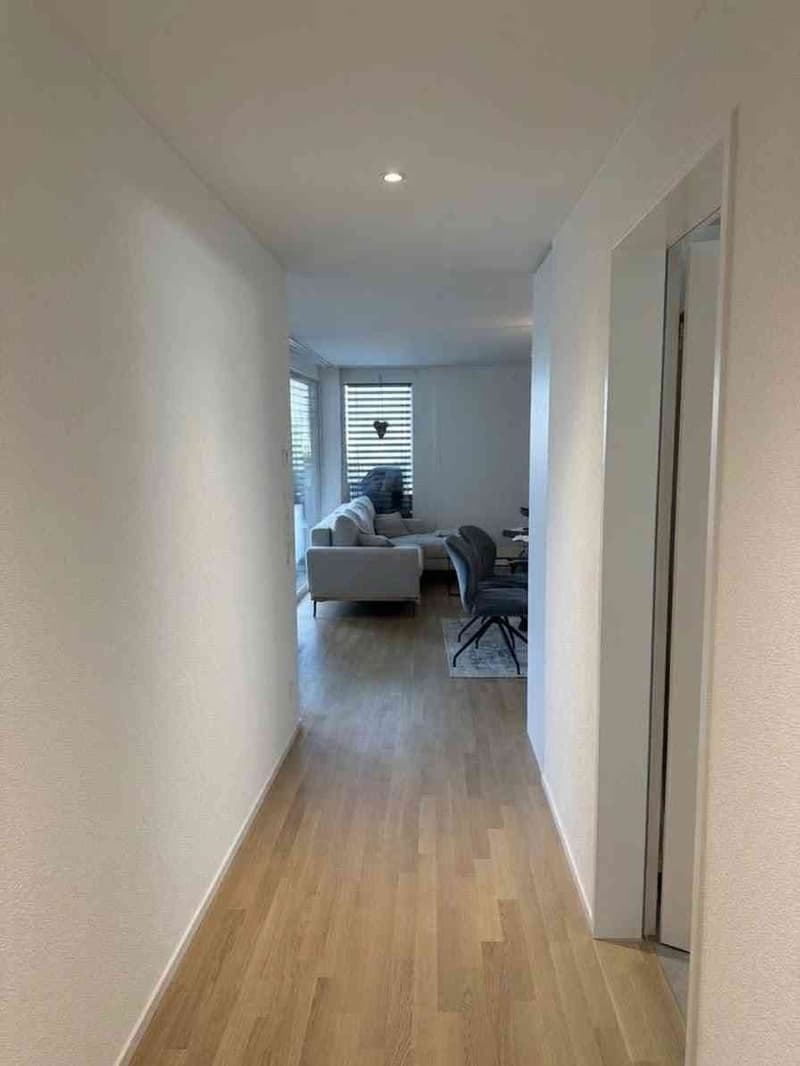 Stylische, moderne 2.5-Zimmer-Wohnung an guter Lage in Lenzburg (6)