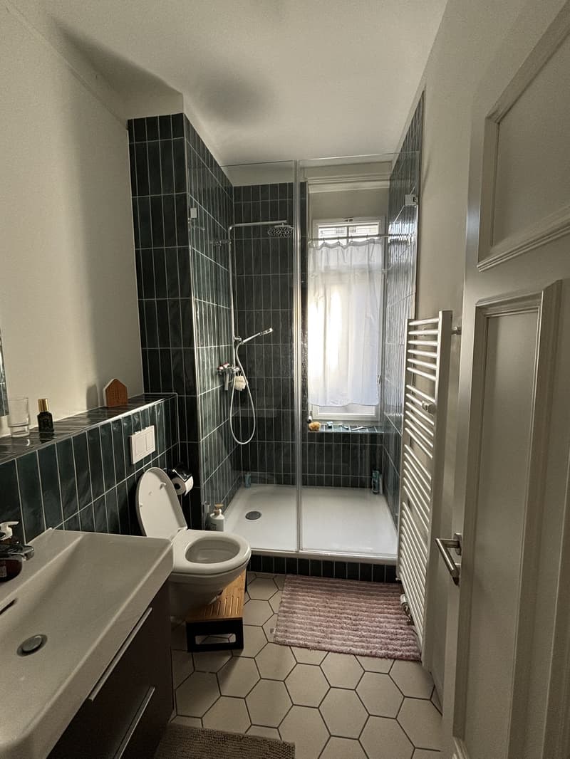 2.5 zimmer (wie 3.5) im K6 per sofort (8)