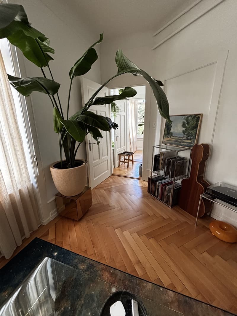 2.5 zimmer (wie 3.5) im K6 per sofort (5)