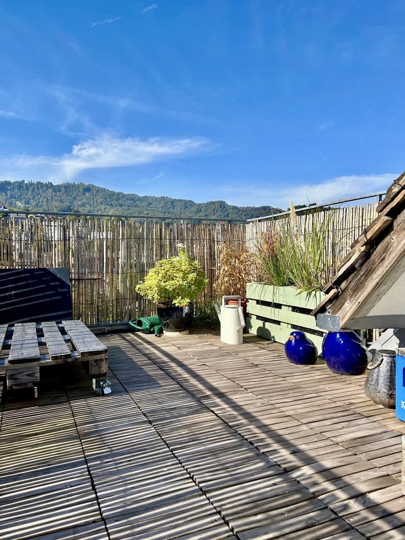Einzigartige Dachwohnung mit viel Charme, Kamin und traumhafter Aussicht (13)
