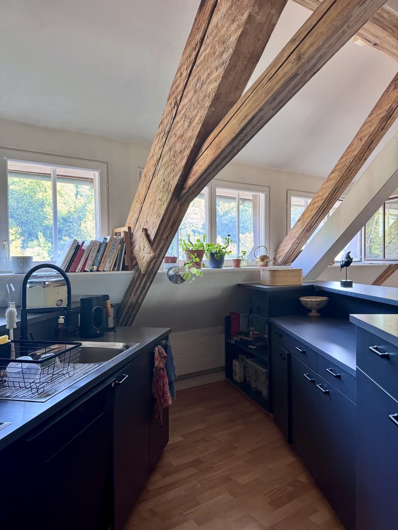 Einzigartige Dachwohnung mit viel Charme, Kamin und traumhafter Aussicht (8)