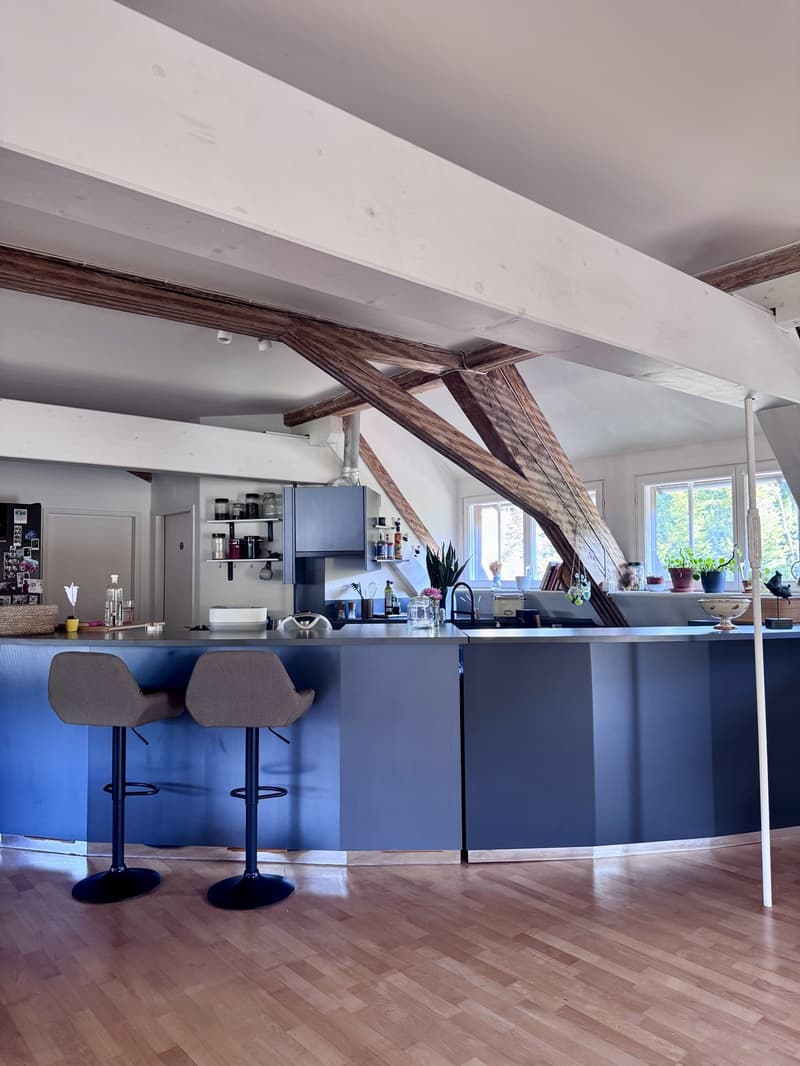Einzigartige Dachwohnung mit viel Charme, Kamin und traumhafter Aussicht (7)