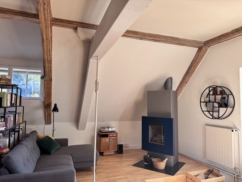 Einzigartige Dachwohnung mit viel Charme, Kamin und traumhafter Aussicht (6)
