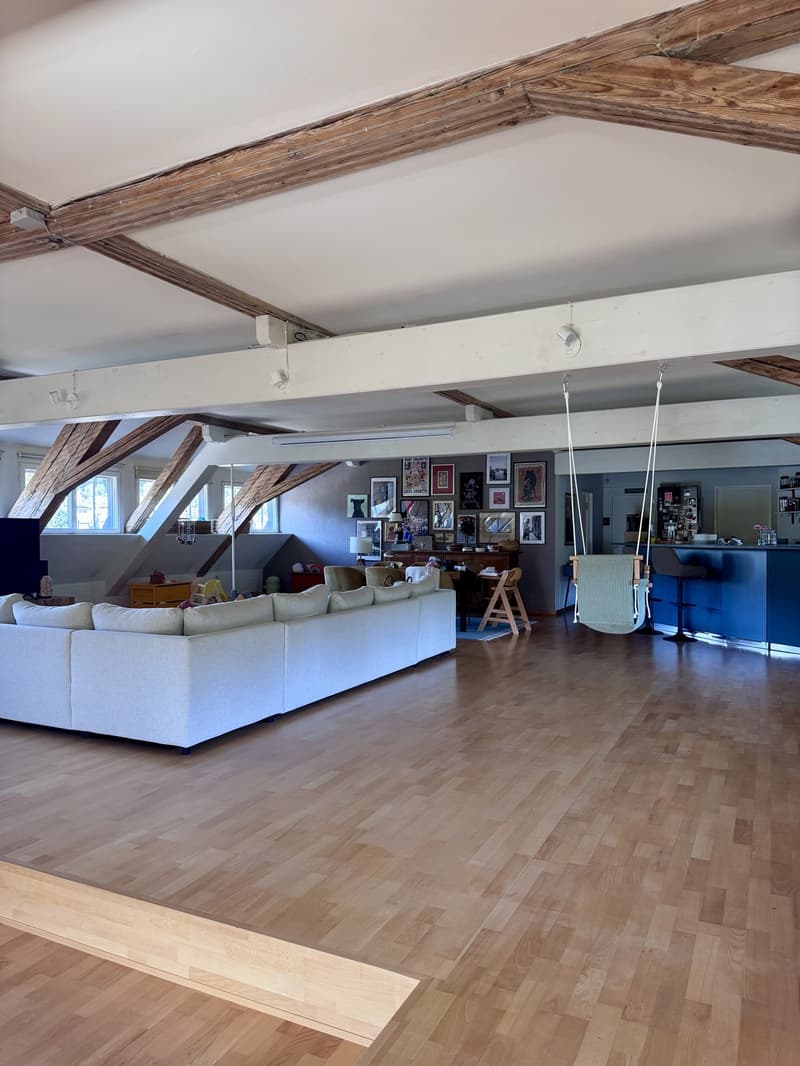 Einzigartige Dachwohnung mit viel Charme, Kamin und traumhafter Aussicht (2)