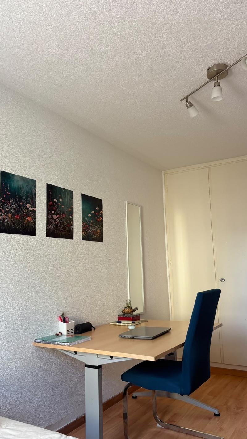 Furnished Room for Rent in Wohlen (AG) (6)