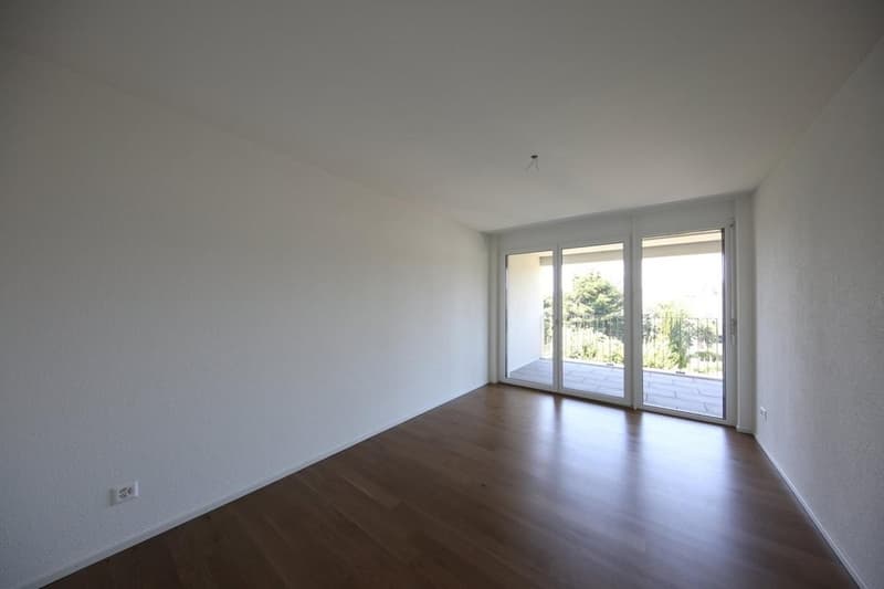 Nachmieter gesucht: Helle Wohnung mit Balkon und eigenem Waschturm CHF 1460 inkl. NK (2)