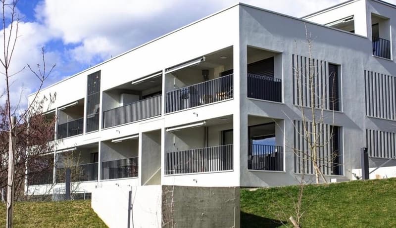 Nachmieter gesucht: Helle Wohnung mit Balkon und eigenem Waschturm CHF 1460 inkl. NK (6)