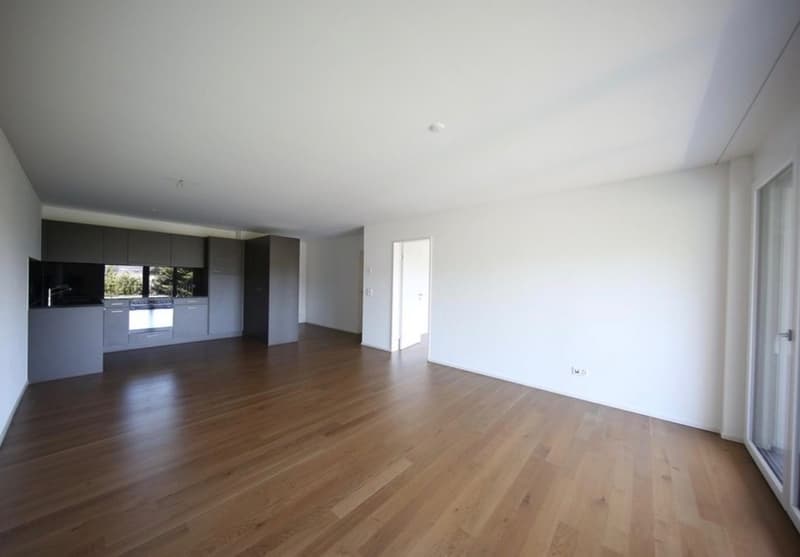 Nachmieter gesucht: Helle Wohnung mit Balkon und eigenem Waschturm CHF 1460 inkl. NK (3)