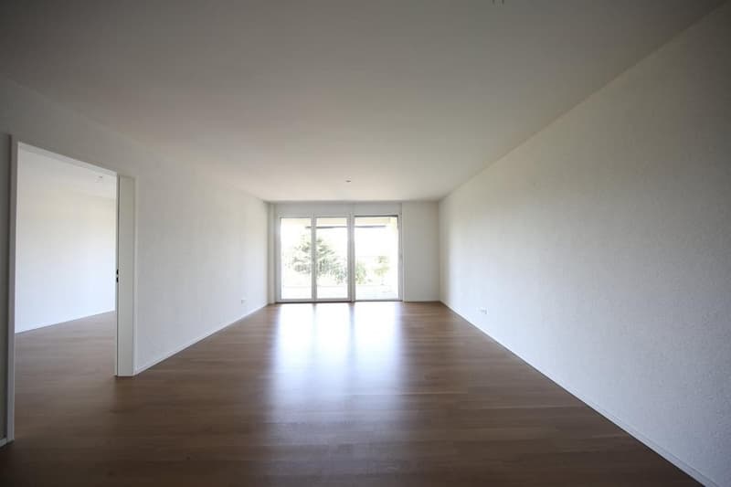 Nachmieter gesucht: Helle Wohnung mit Balkon und eigenem Waschturm CHF 1460 inkl. NK (1)