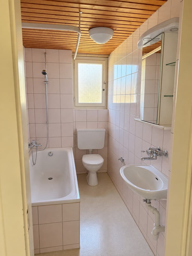 Charmante 3,5 Zimmer-Wohnung (5)