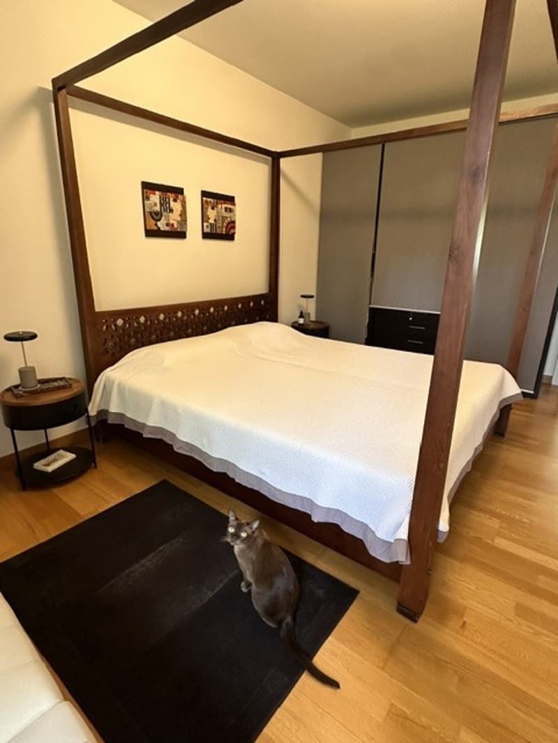 Apartment in Seefeld, 4 min walk to the lake (6)
