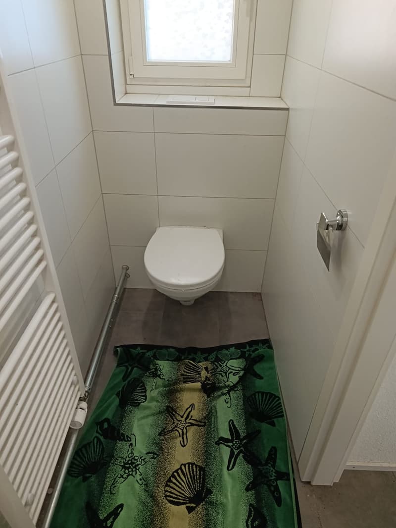 2 ½ Zimmer-Wohnung, 9320 Arbon (4)
