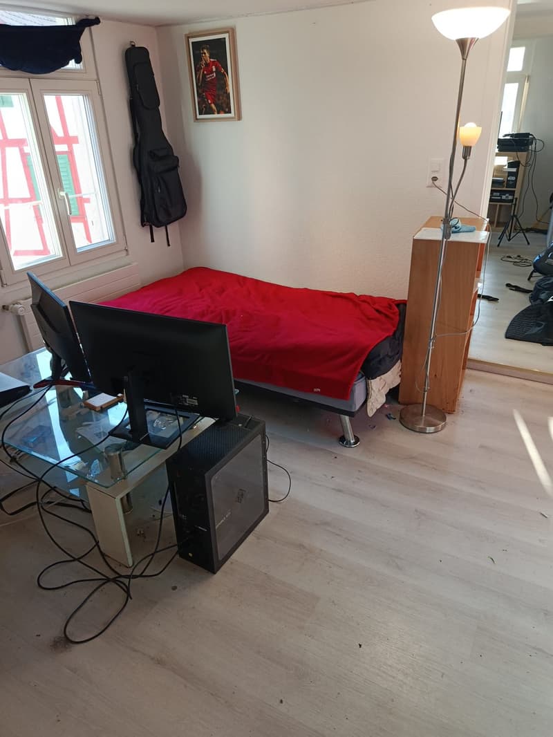 2 ½ Zimmer-Wohnung, 9320 Arbon (6)