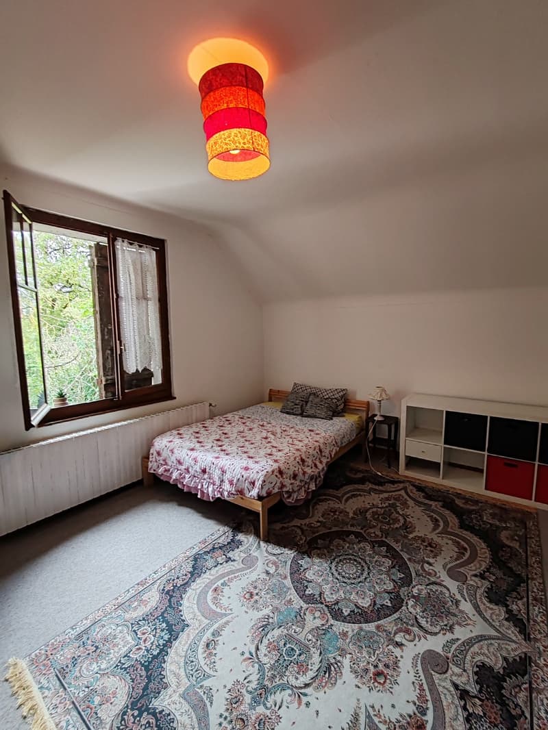 Colocation feminine (1)