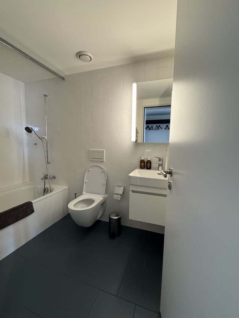 Moderne, ruhige 2.5-Zimmer-Wohnung mit Balkon und Uetliberg-Sicht (7)