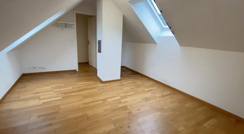 2.5 Zimmer Wohnung im Kreis 4 (unbefristet) (3)