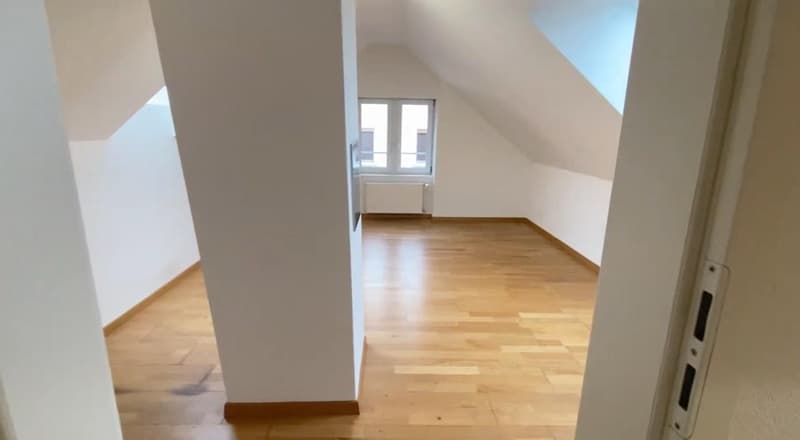 2.5 Zimmer Wohnung im Kreis 4 (unbefristet) (2)