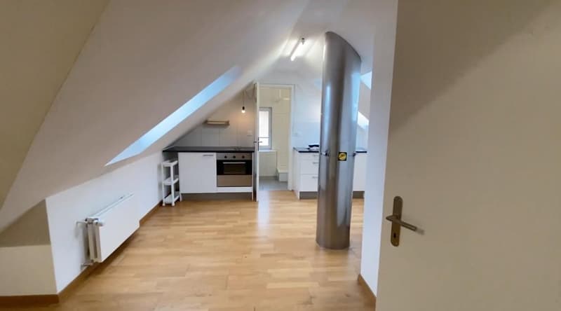 2.5 Zimmer Wohnung im Kreis 4 (unbefristet) (1)