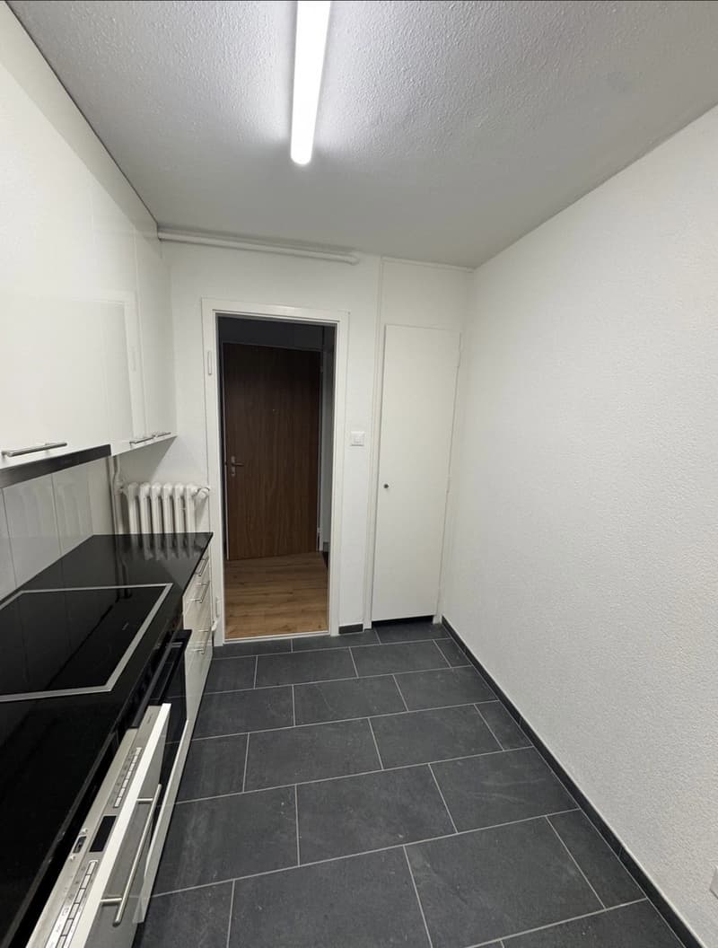 Befristetes WG-Zimmer in Zürich 1. Oktober bis Ende Januar (7)