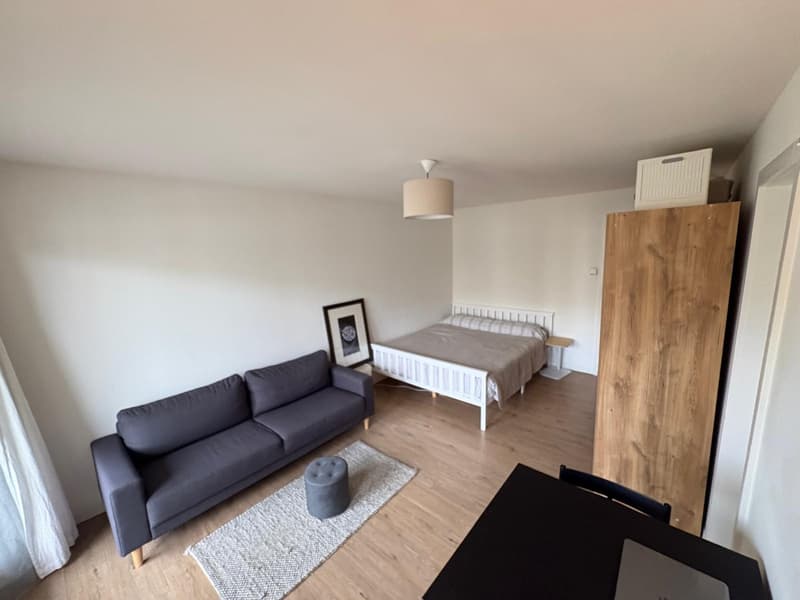 Appartamento 1 ½ locali, 6003 Luzern (1)