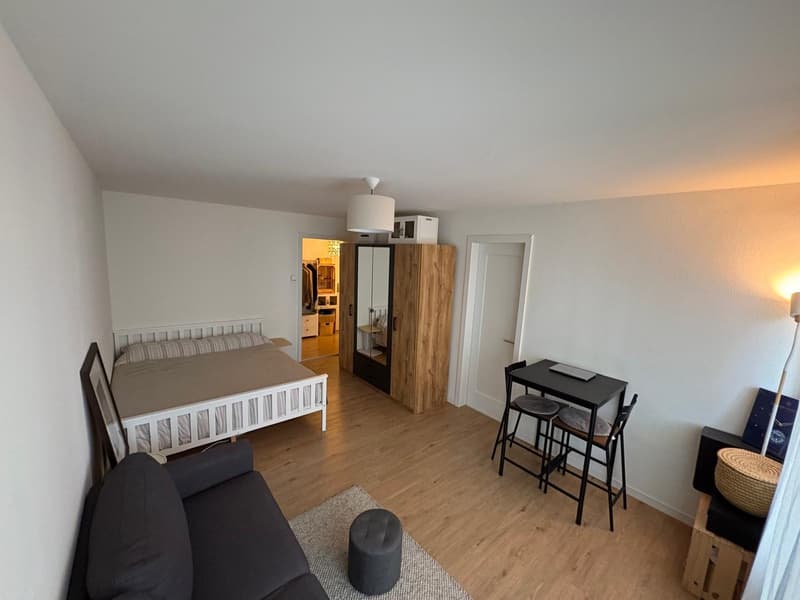 Appartamento 1 ½ locali, 6003 Luzern (4)