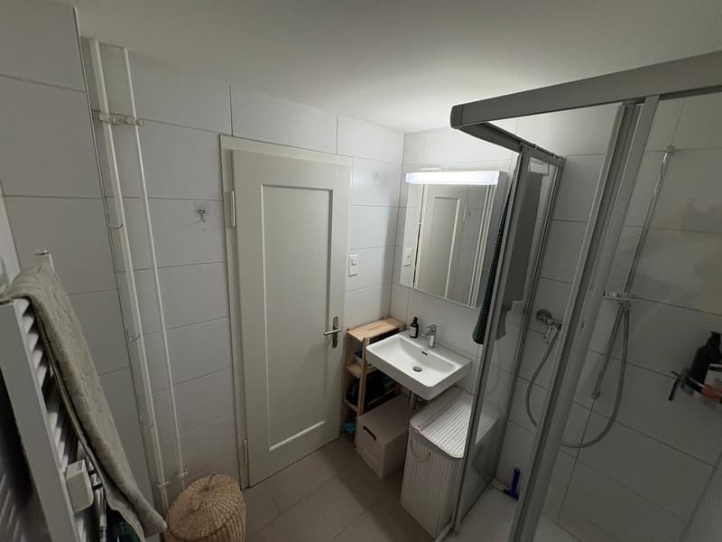 Appartamento 1 ½ locali, 6003 Luzern (9)