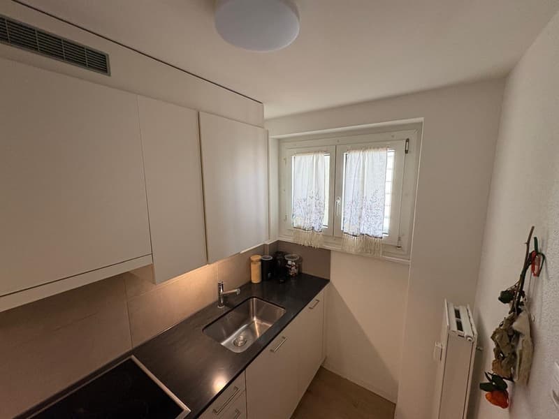 Appartamento 1 ½ locali, 6003 Luzern (8)