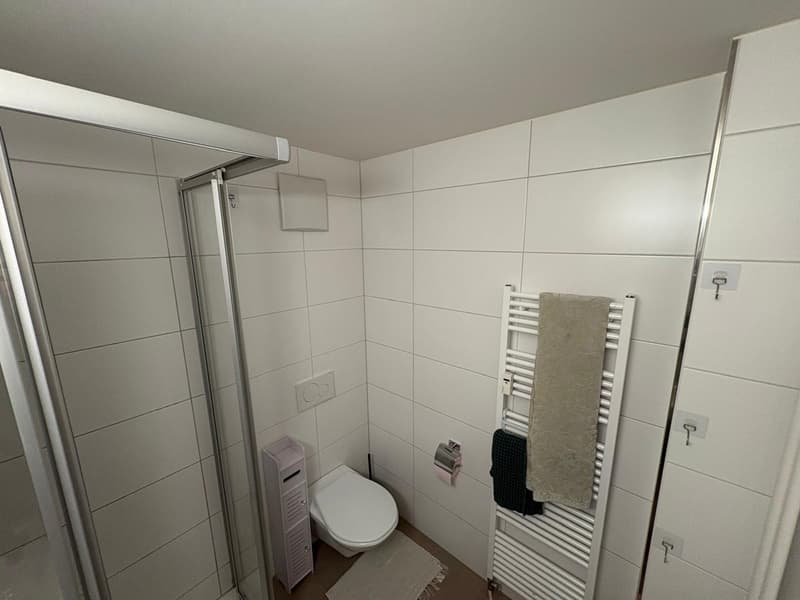 Appartamento 1 ½ locali, 6003 Luzern (6)