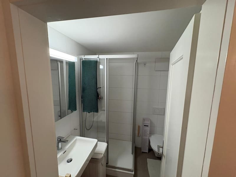 Appartamento 1 ½ locali, 6003 Luzern (2)