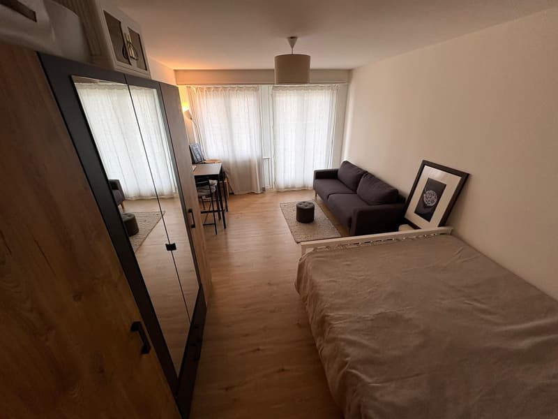 Appartamento 1 ½ locali, 6003 Luzern (10)