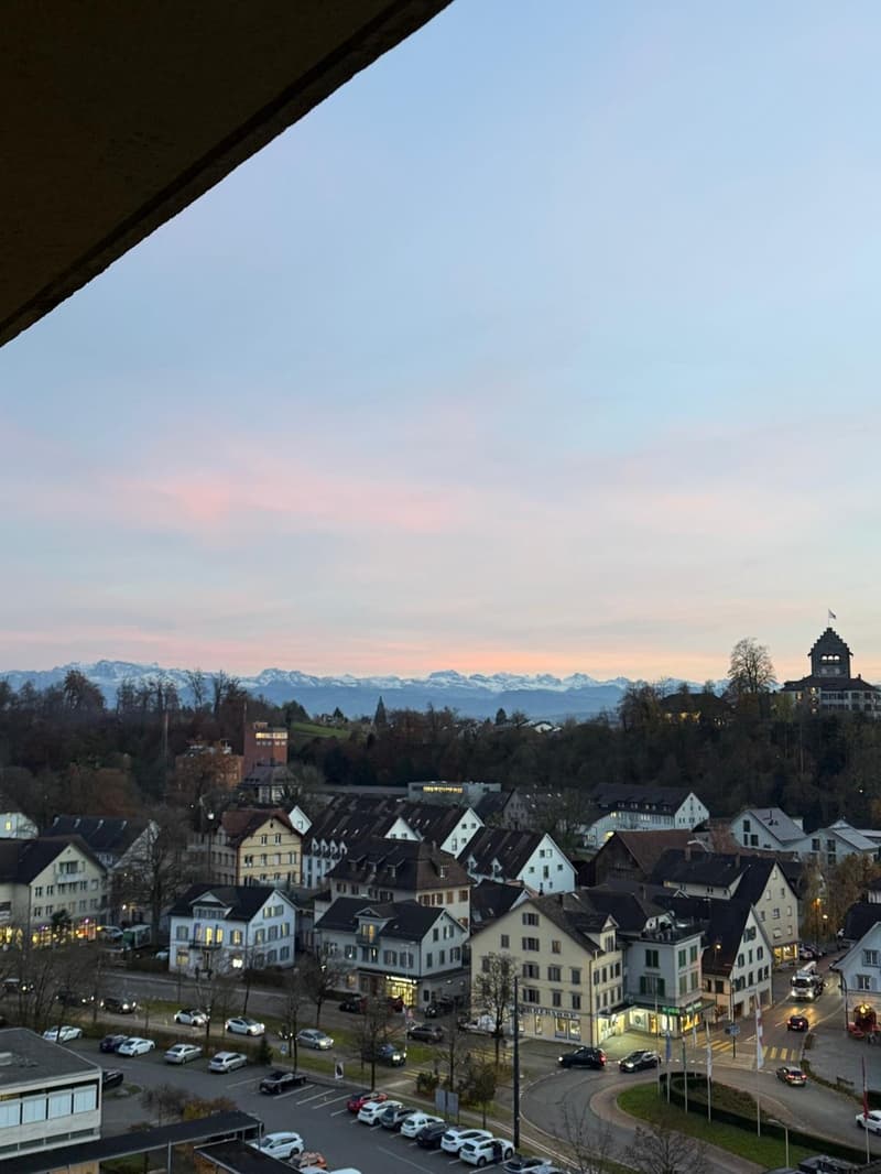 WG Zimmer in Uster in Top Lage 2 min zum Bahnhof (12)