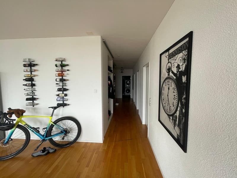 WG Zimmer in Uster in Top Lage 2 min zum Bahnhof (10)