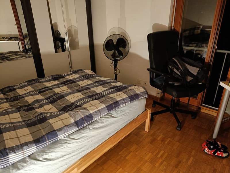Room in a shared flat in Schwamendingen - great for students or young professionals! (2)