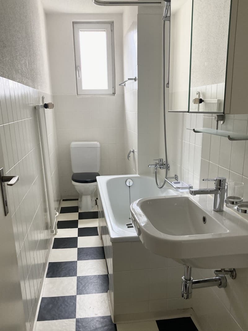 Charmantes WG-Zimmer in 3,5-Zimmer-Altbauwohnung im Kreis 5 (5)