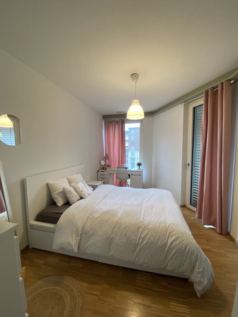 Room in a Beautiful Shared Apartment in Zurich (1)