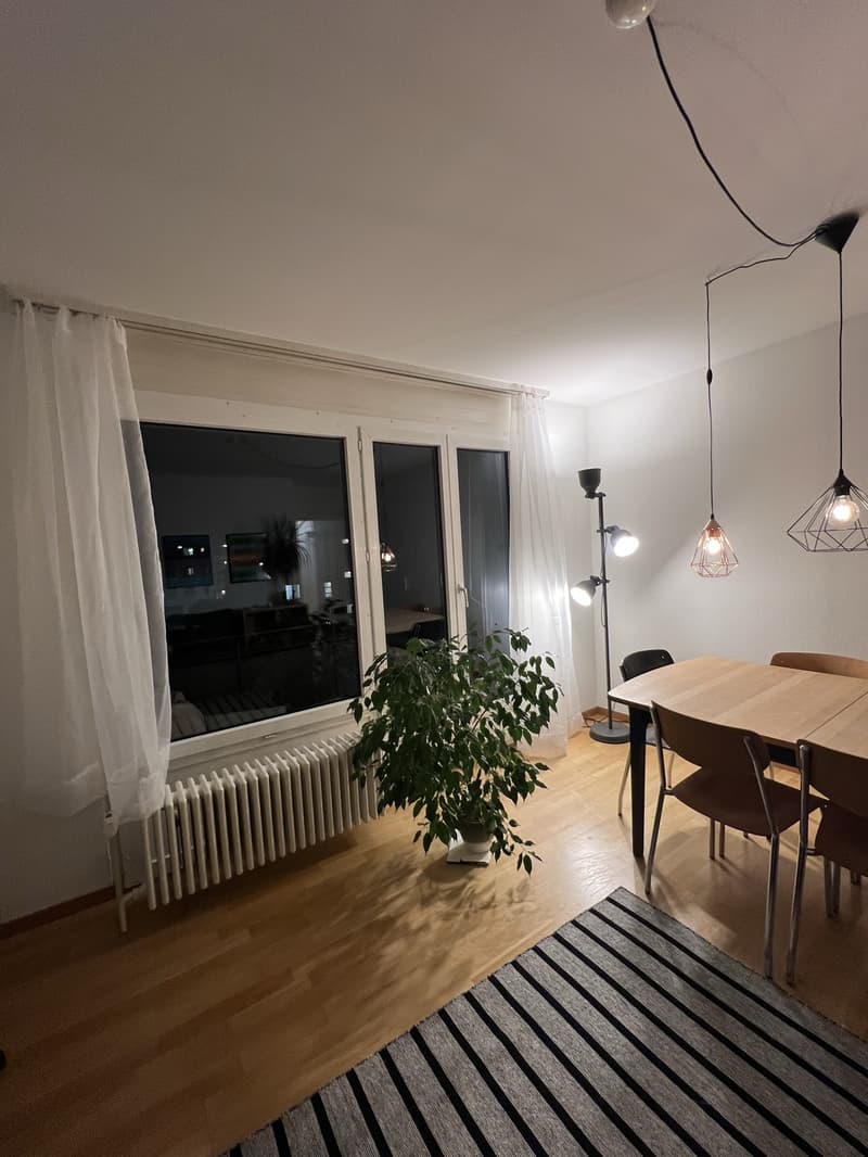 Befristetes WG-Zimmer in Nähe Bucheggplatz (Kreis 6) (3)