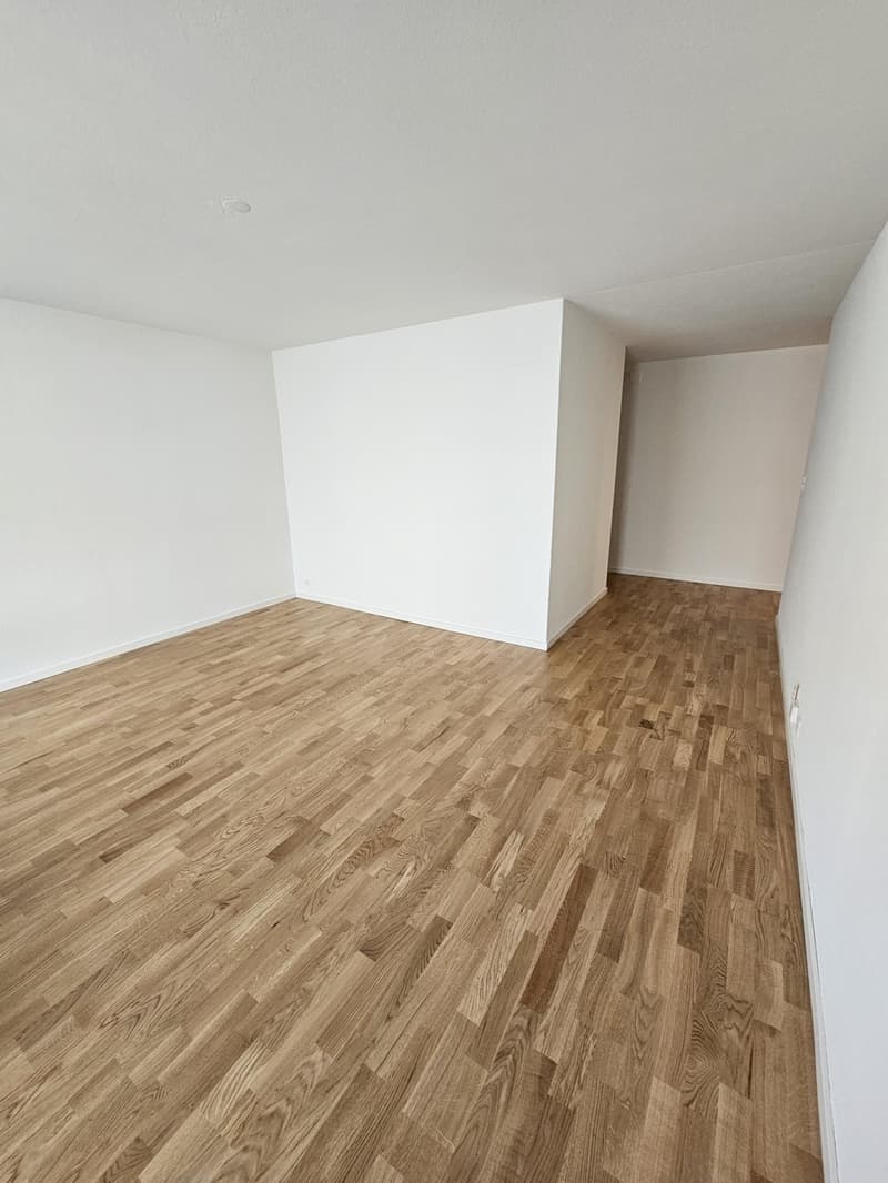 3.5-Zimmerwohnung im beliebten Breitenrainquartier (3)