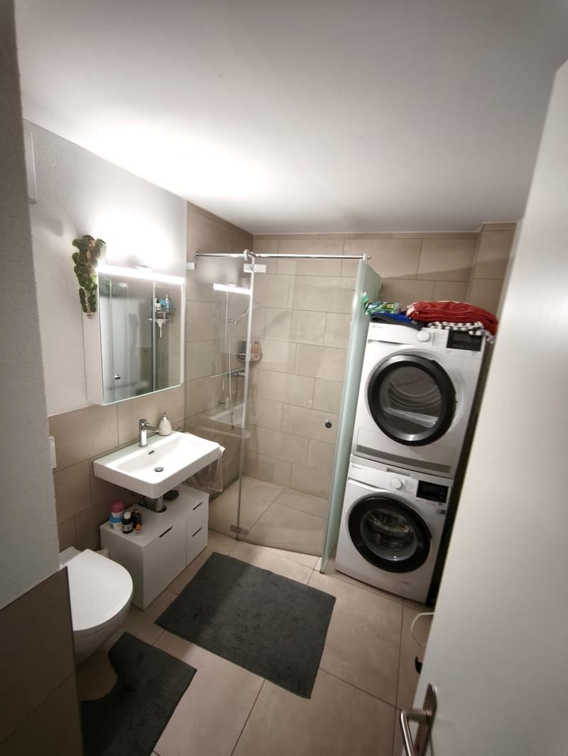 Lichtdurchflutete 75 m² Erdgeschosswohnung in Zürich-Wipkingen mit Uetliberg-Blick (5)