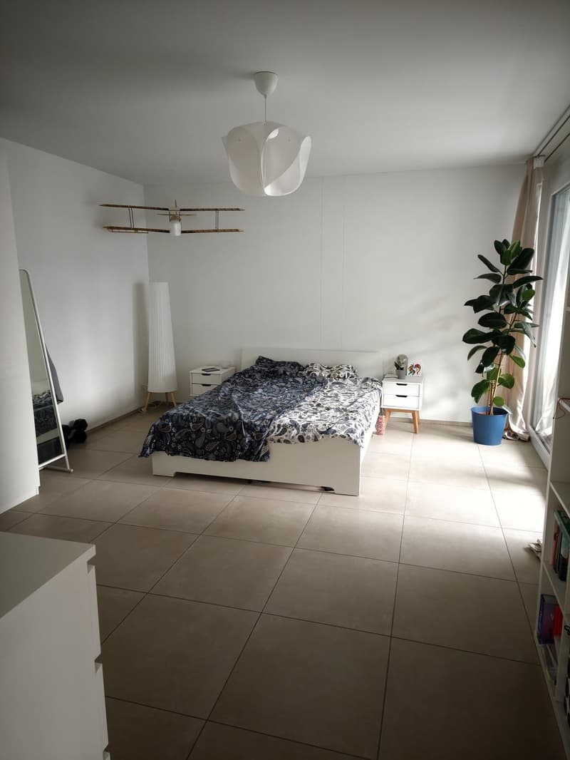 Lichtdurchflutete 75 m² Erdgeschosswohnung in Zürich-Wipkingen mit Uetliberg-Blick (6)