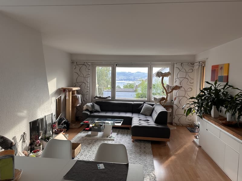 3.5-Zimmer-Wohnung mit Seesicht, Cheminée und Balkon in Männedorf (1)