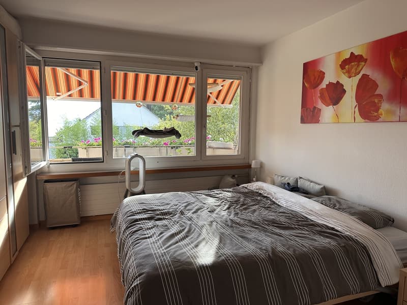 3.5-Zimmer-Wohnung mit Seesicht, Cheminée und Balkon in Männedorf (3)