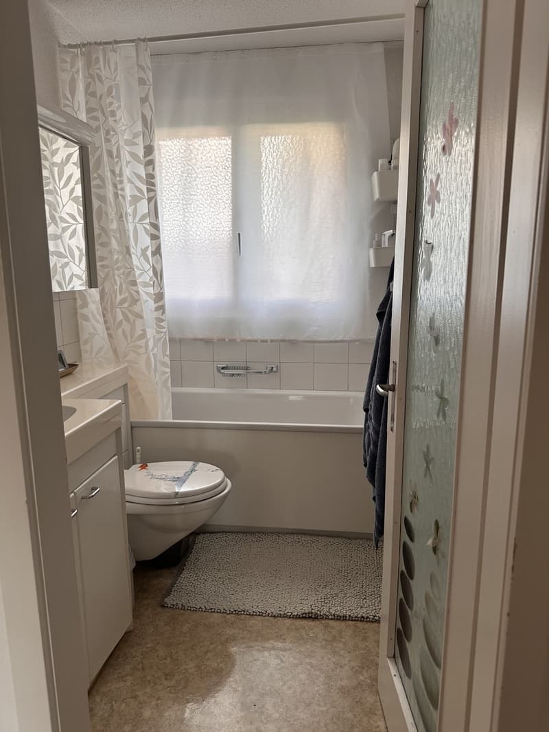 3.5-Zimmer-Wohnung mit Seesicht, Cheminée und Balkon in Männedorf (5)