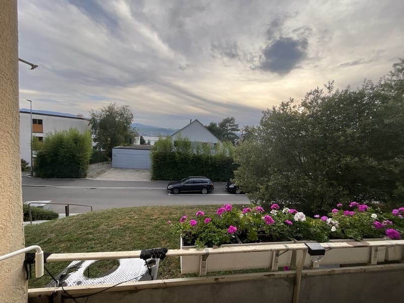3.5-Zimmer-Wohnung mit Seesicht, Cheminée und Balkon in Männedorf (2)